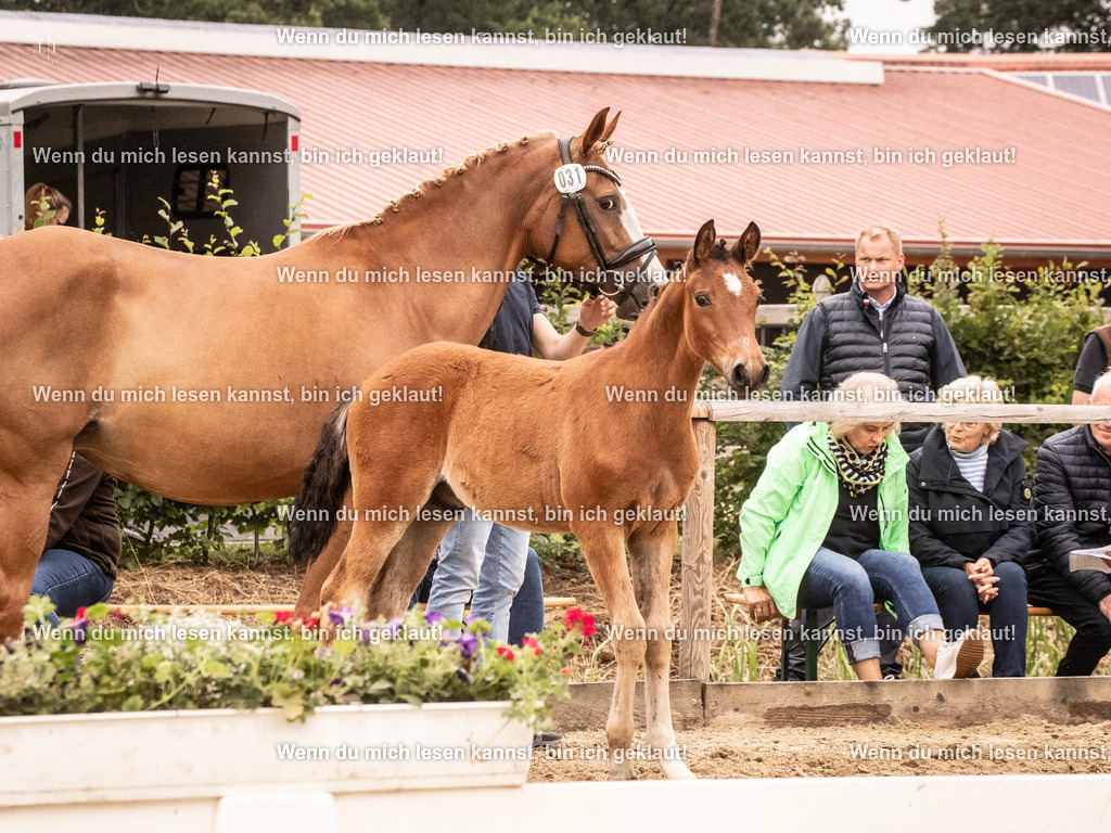 A10I2489 15.54.46 | photographylinaismer - Realisiert mit Pictrs.com