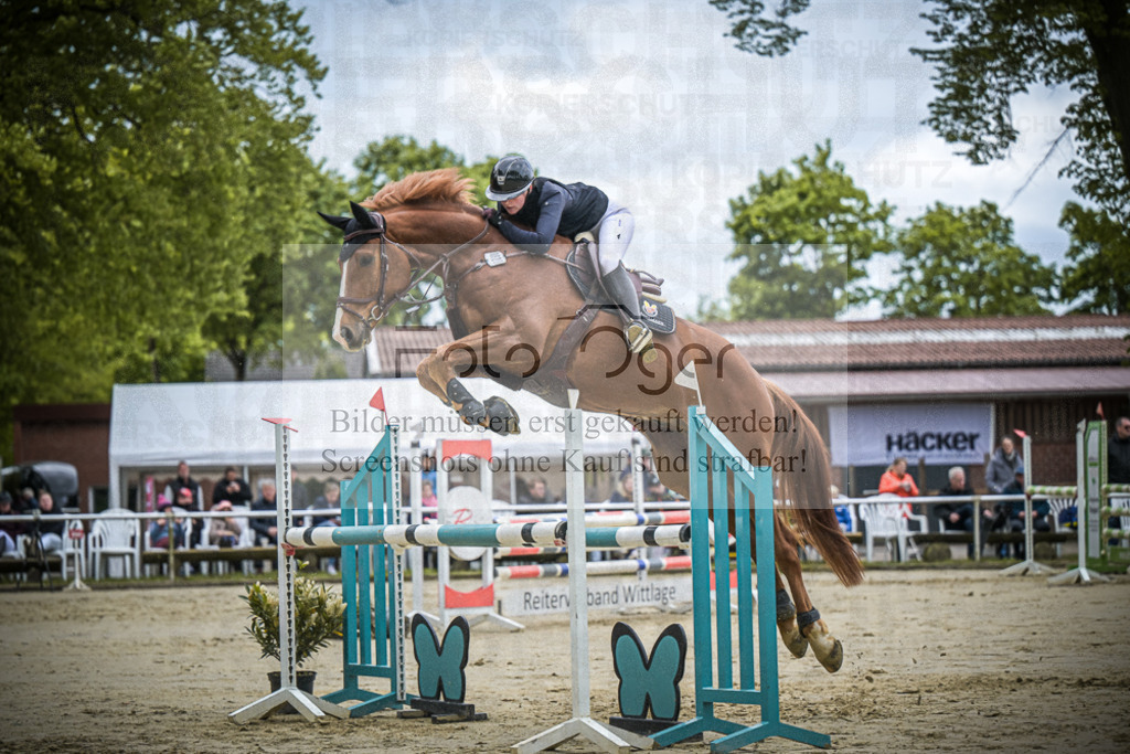 DOS_5752 | Entdecke hochwertige Reitturnierfotos von Foto Oger. Professionell, emotional und authentisch – jetzt Lieblingsmomente im Shop bestellen.Deutschlandweite Turnierfotografie. - Realisiert mit Pictrs.com