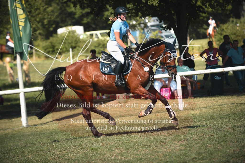 DSC_7147 | Pferde- und Turnierfotografie in Westsachsen. Pferdeportraits, Auftragszeichnungen und intuitive Kunst.