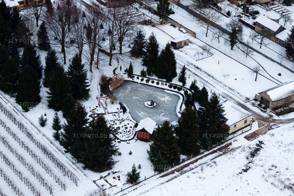 Luftbild: Ziergarten in Erlenbach bei Kandel im Bundesland Rheinland-Pfalz in Deutschland. Foto: IMG_23814.jpg vom 16.01.2010 durch Werner Riehm/FLY-FOTO.de