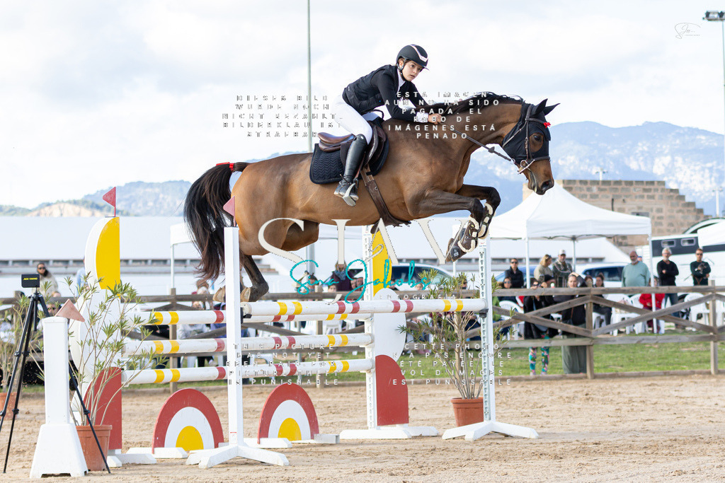 IMG_7911 | s-jay-photography - Realisiert mit Pictrs.com