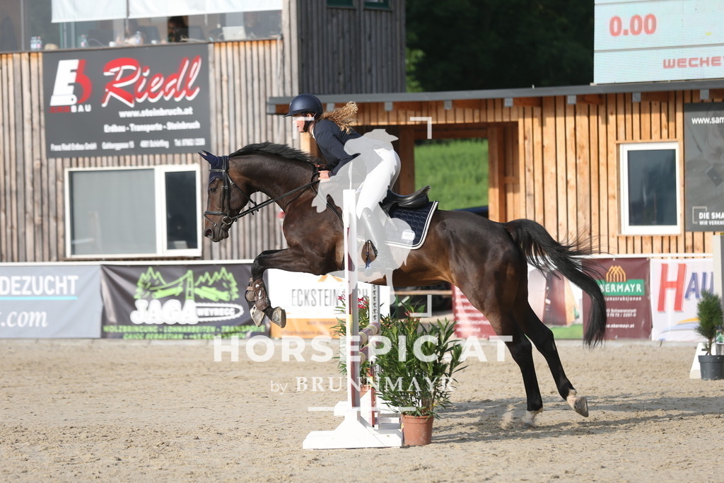 DL2Q8807 | Willkommen bei Brunnmayr - Design & Fotografie – Ihrem Spezialisten für Reitturniere und Pferdeveranstaltungen in Oberösterreich, Salzburg und Bayern! Seit über 17 Jahren sind wir leidenschaftlich dabei.