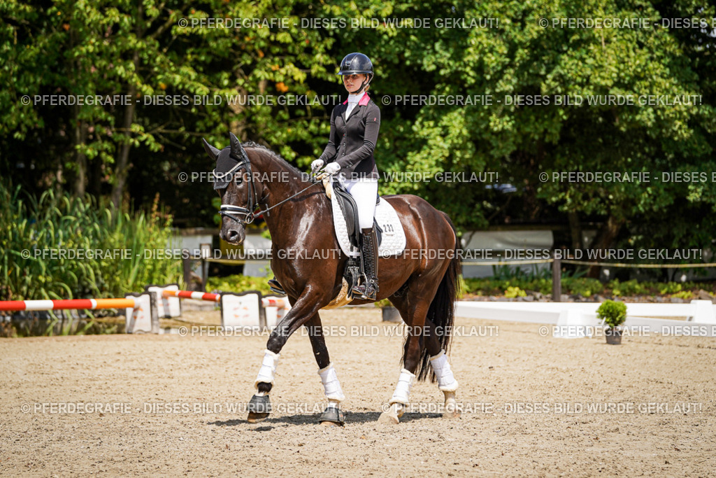 DSC01906 | Pferdegrafie