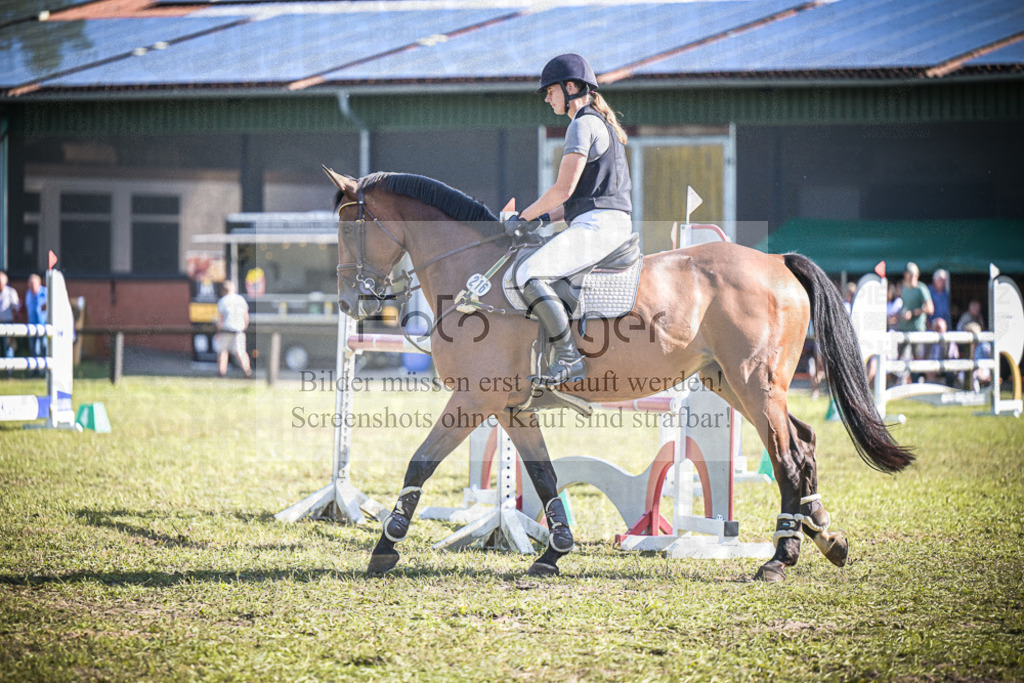 DOS_1015 | Entdecke hochwertige Reitturnierfotos von Foto Oger. Professionell, emotional und authentisch – jetzt Lieblingsmomente im Shop bestellen.Deutschlandweite Turnierfotografie. - Realisiert mit Pictrs.com