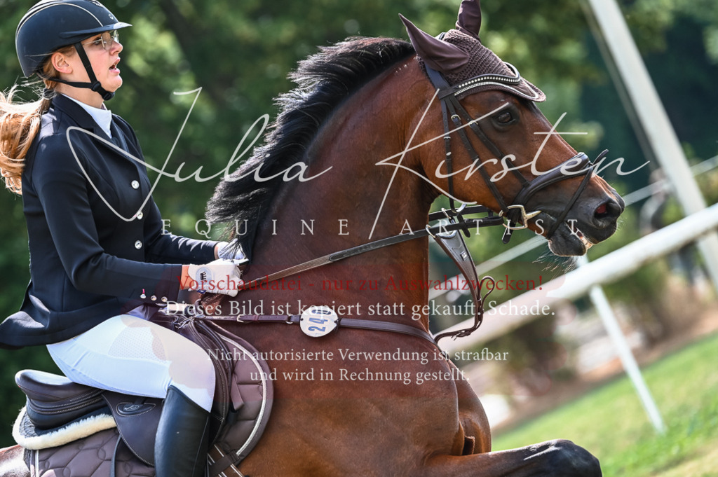 DSC_8495 | Pferde- und Turnierfotografie in Westsachsen. Pferdeportraits, Auftragszeichnungen und intuitive Kunst.