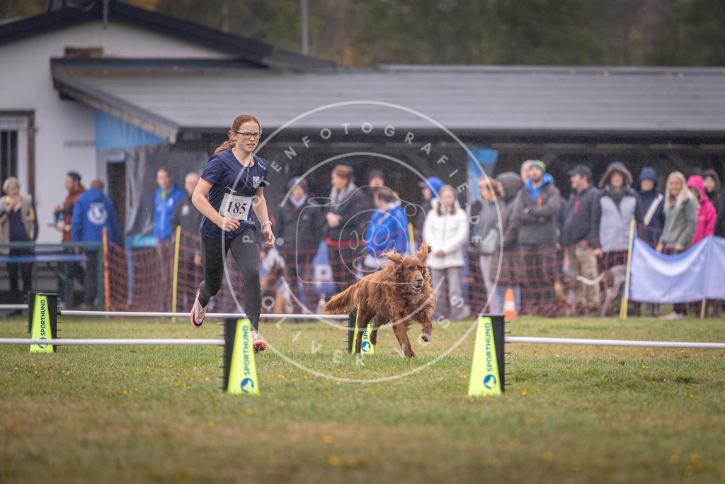 Pfotenfotografie_DV3A9741 | Hundefotografie, Tierfotograf, Pfotenfotografie, Fotoshooting Hund, Hunde Portrait, Hundesport, Hundeportraits, Heideshooting, Hunde, Sportfotograf, Hundefotograf, Turnierhundsport, THS,  - Realisiert mit Pictrs.com
