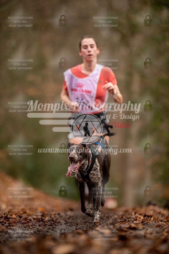 SPA_2023_DIM_CCL-92 | PayLife