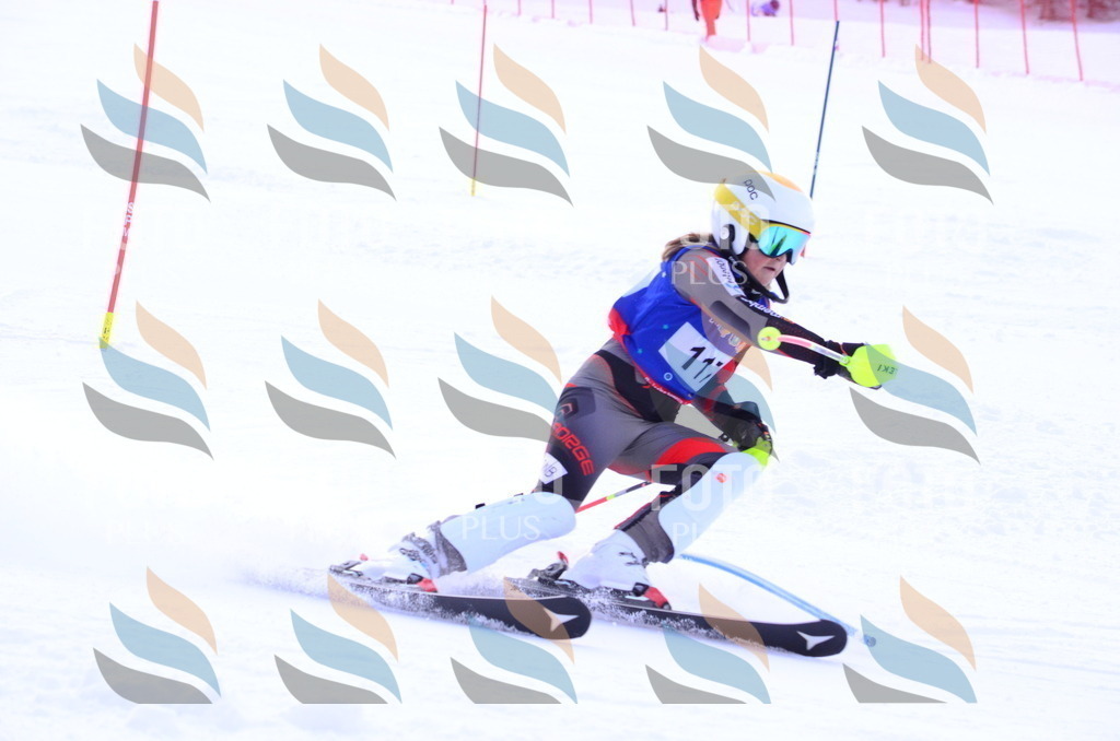 B1706 | holidayphoto