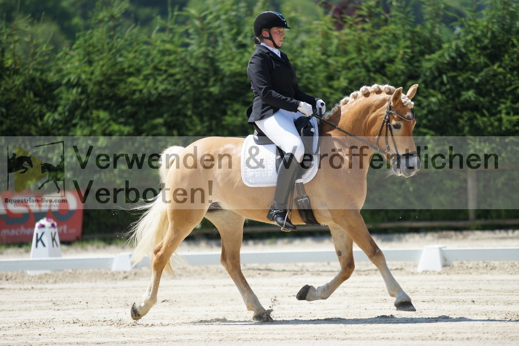 DSC02208 | equestrian-live-com