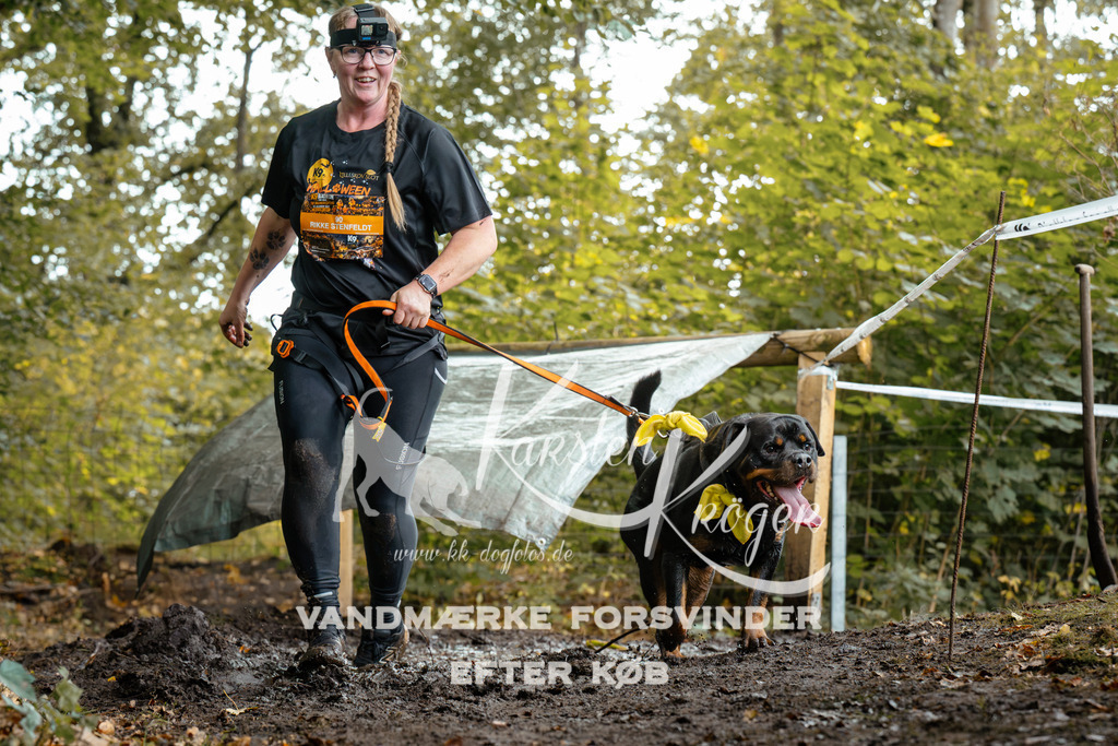 1431DZ6_2798Z6 | kk-dogfotos