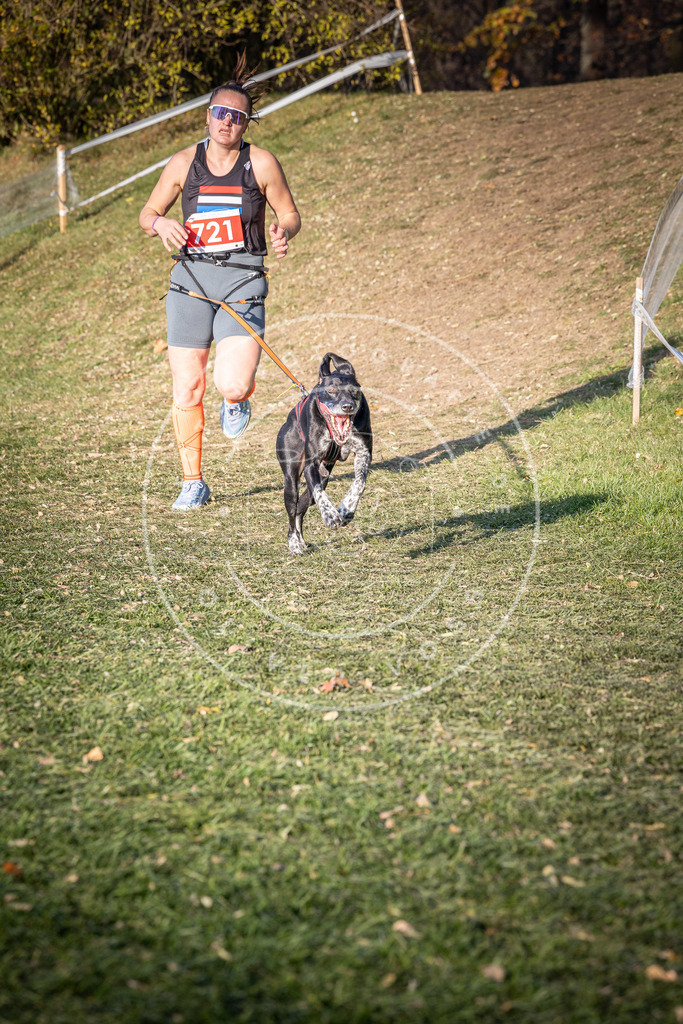 CaniXpix_0L8A9675 | Hundefotografie, Tierfotograf, Pfotenfotografie, Fotoshooting Hund, Hunde Portrait, Hundesport, Hundeportraits, Heideshooting, Hunde, Sportfotograf, Hundefotograf, Turnierhundsport, THS,  - Realisiert mit Pictrs.com