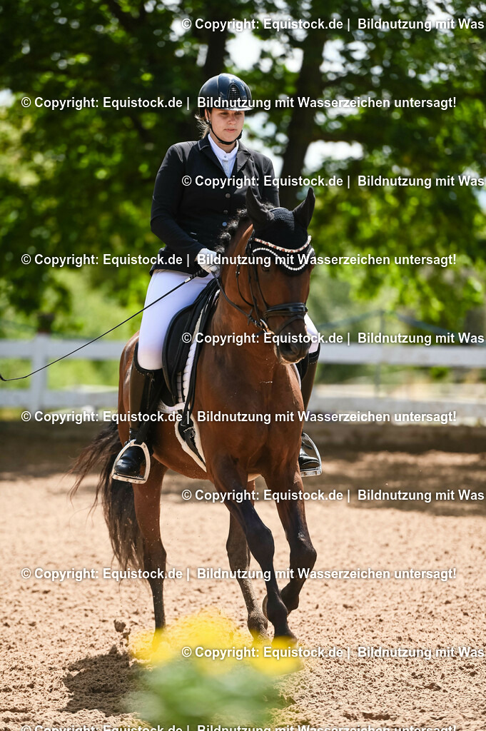 20230716_03_Dressurprfg. Kl.L - Tr._0121 | equistock
