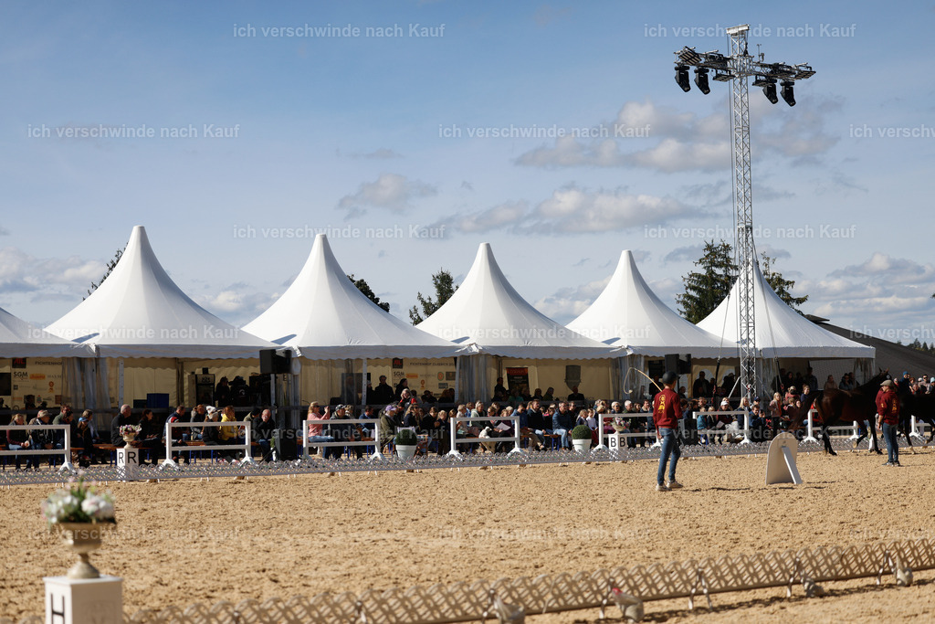 _AM19112 | working equitationturnier fotograf videograf stoibphotography marixx film working equitation deutschland reitsport turnierfotografie eventfotografie equestrian events