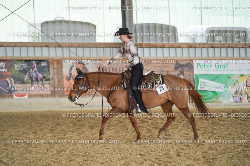 DSC00088 | Pferdegrafie