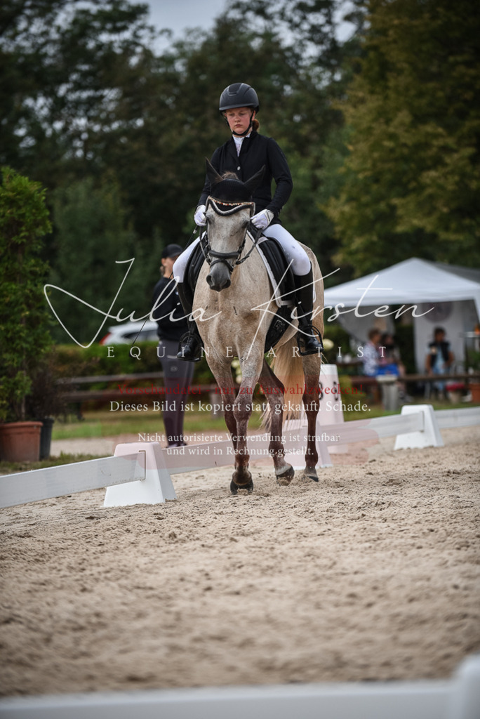 DSC_8225 | Pferde- und Turnierfotografie in Westsachsen. Pferdeportraits, Auftragszeichnungen und intuitive Kunst.