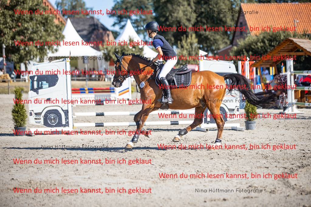 BK1A8047 | Turnierbilder Turnierfotos Nina Hüffmann Turnierfotografie Pferdefotografie Tierzeichnung Haustierzeichnung Pferdezeichnung Hundezeichnung Videograf  - Realisiert mit Pictrs.com