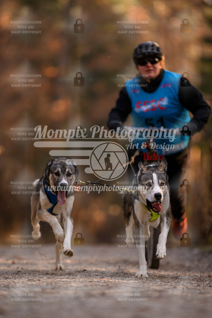MompixPhotography_DM_AKDM_SO_2025_Scooter-38 | PayLife