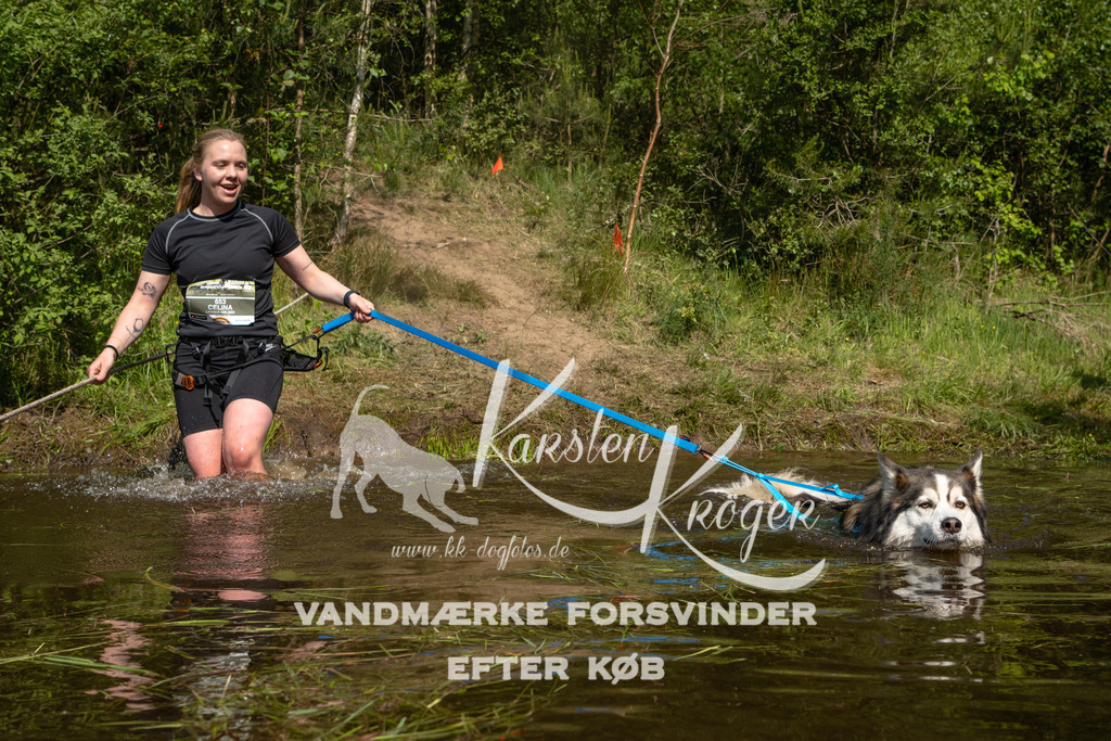 1016DKK990317 | kk-dogfotos