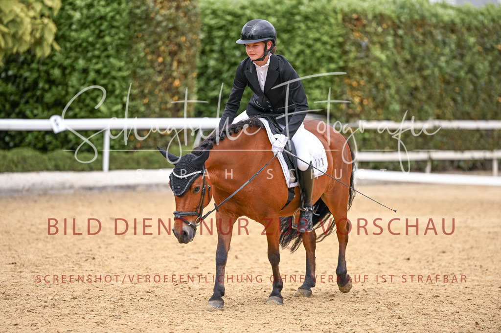 Schugtsche-Aluta25-44.DresssurreiterWB-333 | Schugtsche Fotografie - Realisiert mit Pictrs.com
