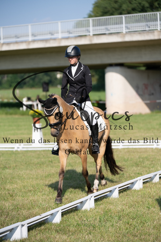 A7V09305 | Pferdefotograf