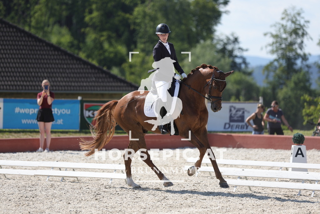0P6A7655 | Willkommen bei Brunnmayr - Design & Fotografie – Ihrem Spezialisten für Reitturniere und Pferdeveranstaltungen in Oberösterreich, Salzburg und Bayern! Seit über 17 Jahren sind wir leidenschaftlich dabei.