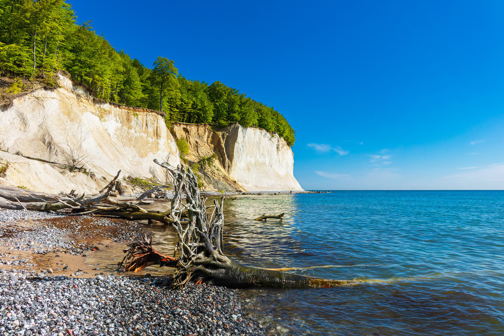 Kreidefelsen an der Küste der Ostsee auf der Insel Rügen | Kreidefelsen an der Küste der Ostsee auf der Insel Rügen.
