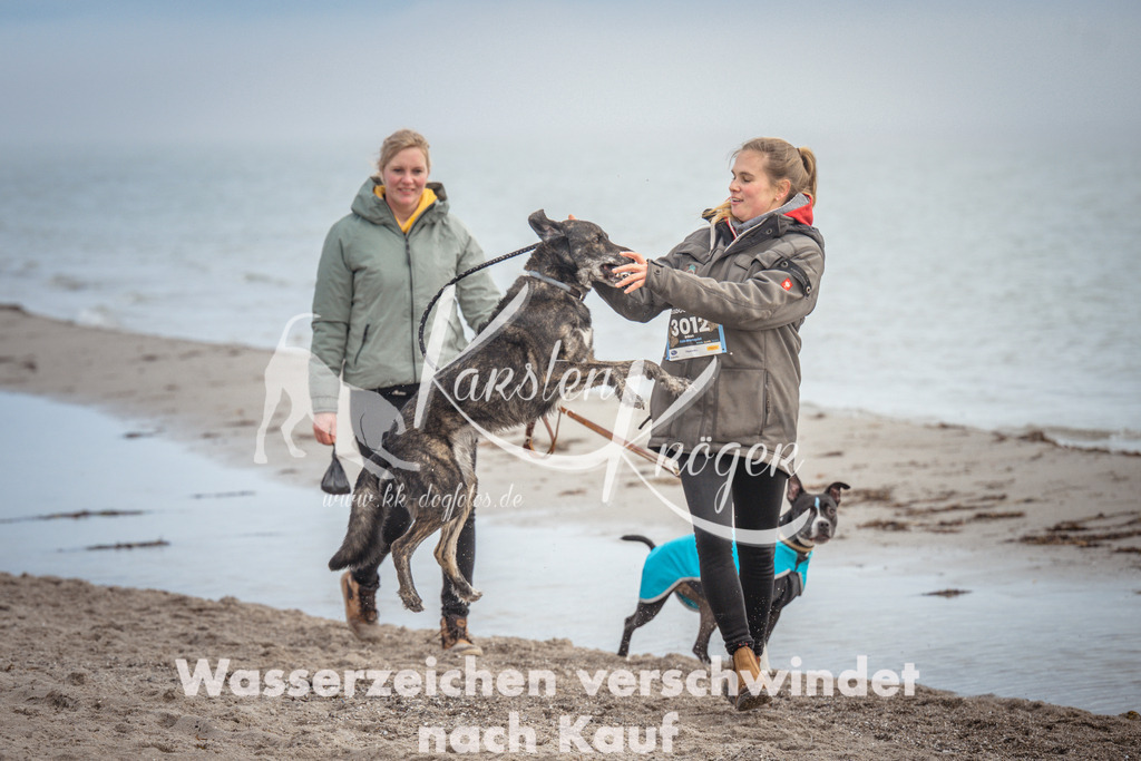 1146_ZZ90813 | kk-dogfotos