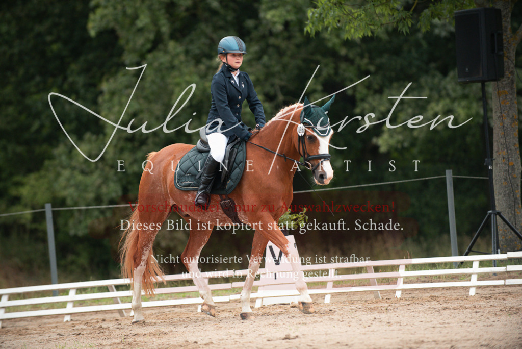 DSC_9626 | Pferde- und Turnierfotografie in Westsachsen. Pferdeportraits, Auftragszeichnungen und intuitive Kunst.