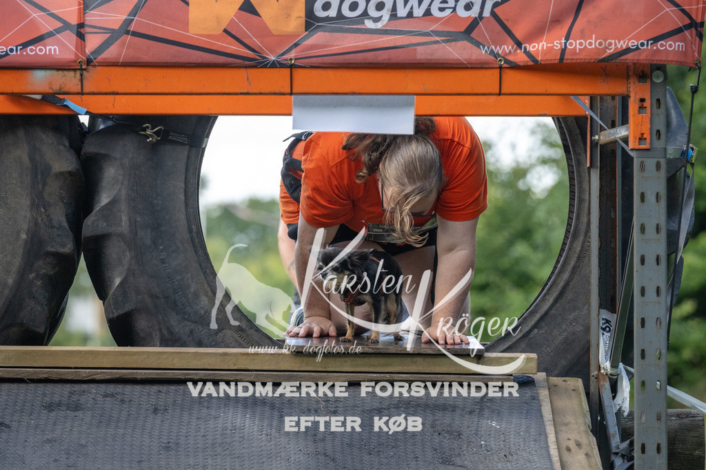 1552_ZZ94647 | kk-dogfotos