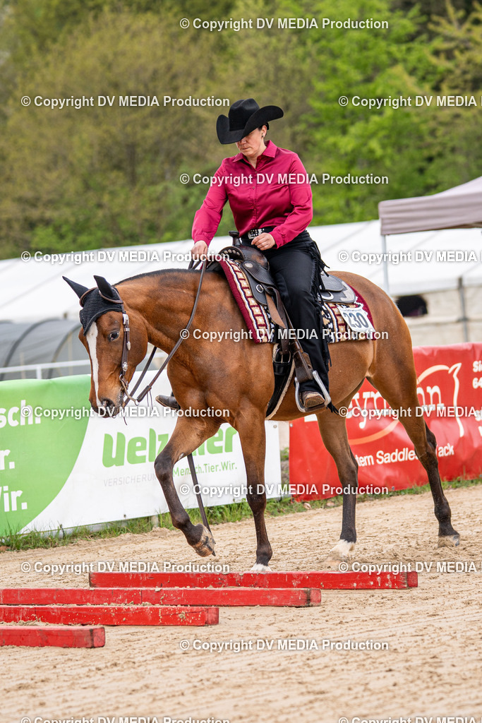 Heiligenwald Tag 1-413 | dv-media-shop - Realisiert mit Pictrs.com