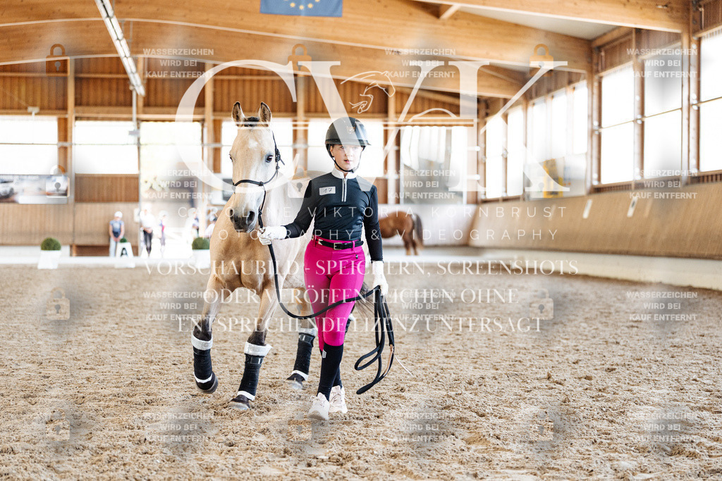 CK907191 | Turnierfotografie Pferdefotografie Trier Rheinland-Pfalz Pferdesport Reitsport Tierfotografie Sportfotografie Pferdevideo Pferdevideografie Equestrianvideography equestrianphotography  - Realisiert mit Pictrs.com