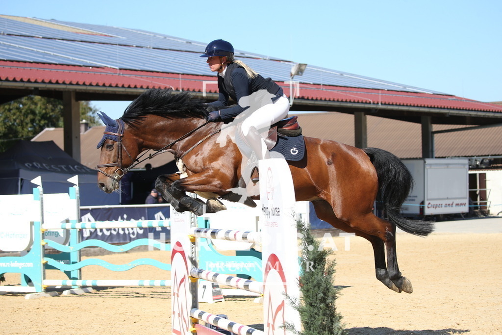 DL2Q2771 | Willkommen bei Brunnmayr - Design & Fotografie – Ihrem Spezialisten für Reitturniere und Pferdeveranstaltungen in Oberösterreich, Salzburg und Bayern! Seit über 17 Jahren sind wir leidenschaftlich dabei.