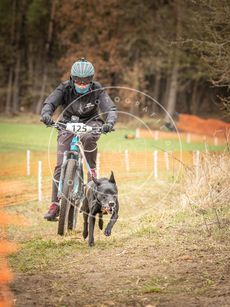 DV3A1164 | Hundefotografie, Tierfotograf, Pfotenfotografie, Fotoshooting Hund, Hunde Portrait, Hundesport, Hundeportraits, Heideshooting, Hunde, Sportfotograf, Hundefotograf, Turnierhundsport, THS,  - Realisiert mit Pictrs.com