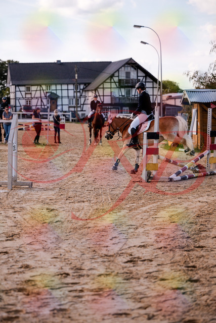 2026_10_03_Siefer-Hof_145517_Z81_35965673 | Professionelle Reitsport-, Turnier- und Eventfotografie von Robert Broda. Galerien mit ausgewählten und bearbeiteten Bildern direkt online ansehen und bestellen.