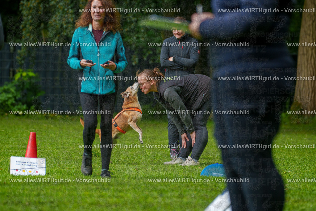 @allesWIRTHgut_Tierfotografie - www.allesWIRTHgut.de - 7R502095 | Professionelle Tierfotografie in Mönchengladbach von Daniel Wirth (allesWIRTHgut). Liebevolle & natürliche Bilder von Hunden & Katzen für unvergessliche Erinnerungen.