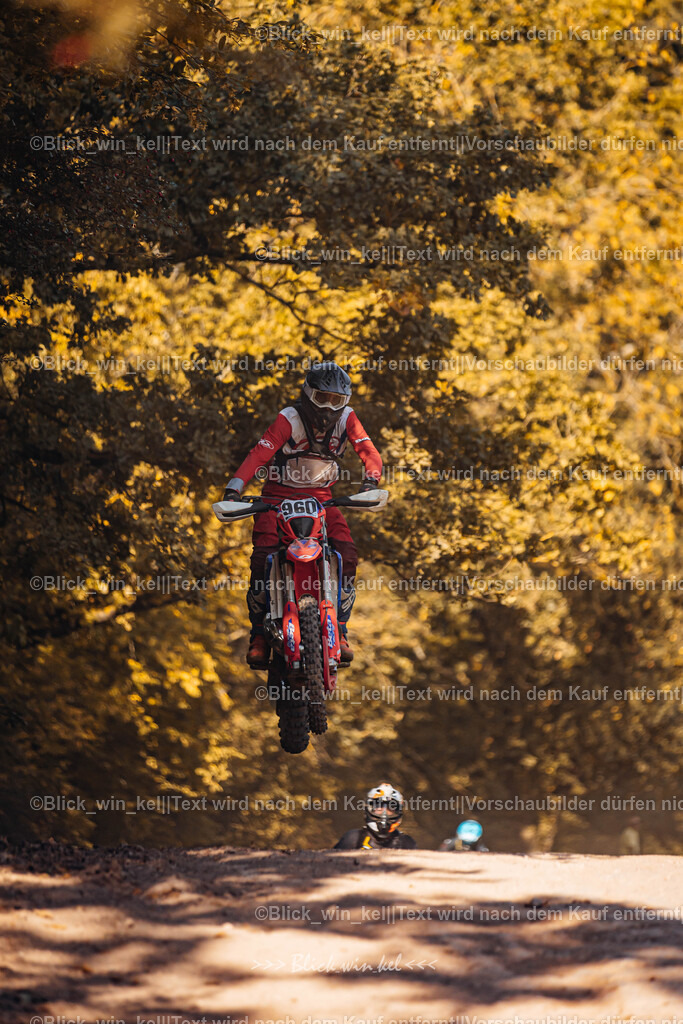 E68A7767 | blick_win_kel