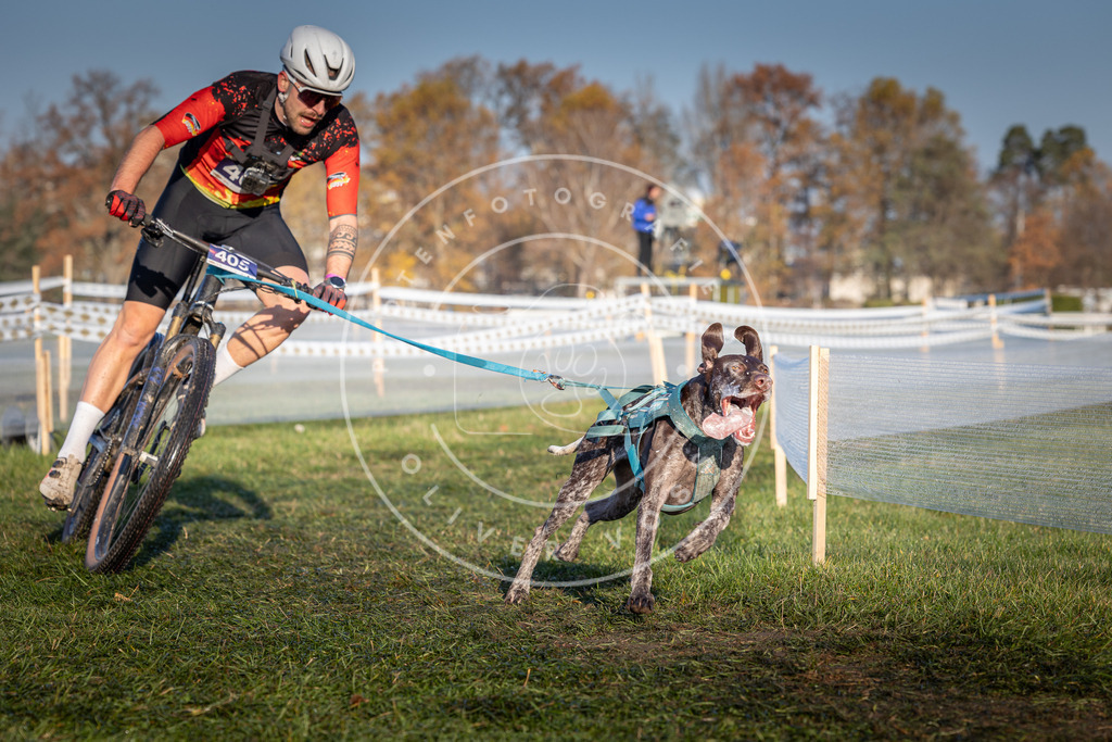 CaniXpix_0L8A4018 | Hundefotografie, Tierfotograf, Pfotenfotografie, Fotoshooting Hund, Hunde Portrait, Hundesport, Hundeportraits, Heideshooting, Hunde, Sportfotograf, Hundefotograf, Turnierhundsport, THS,  - Realisiert mit Pictrs.com