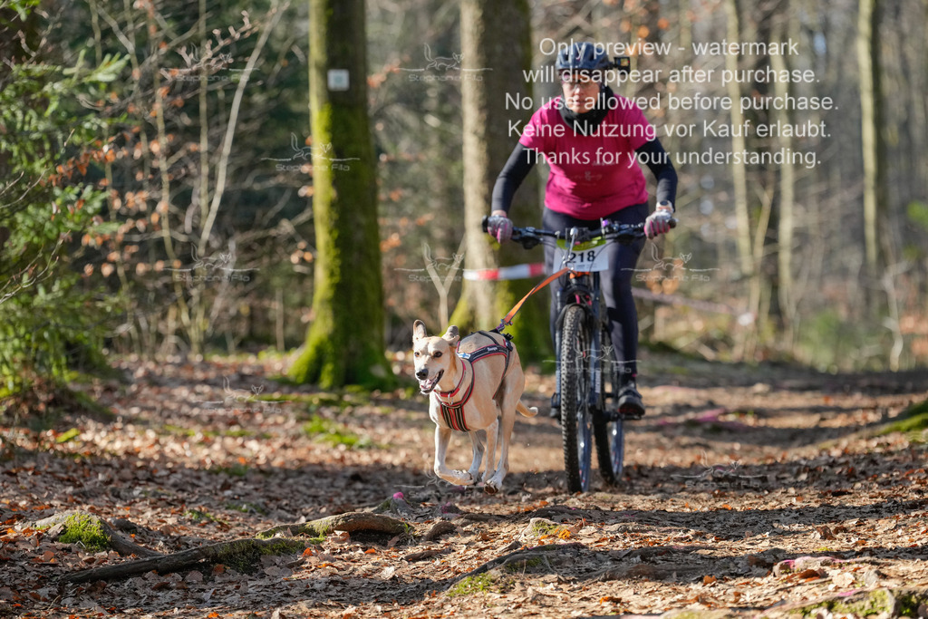 Bike_So-59 | stephaniefillaphotographie - Realisiert mit Pictrs.com