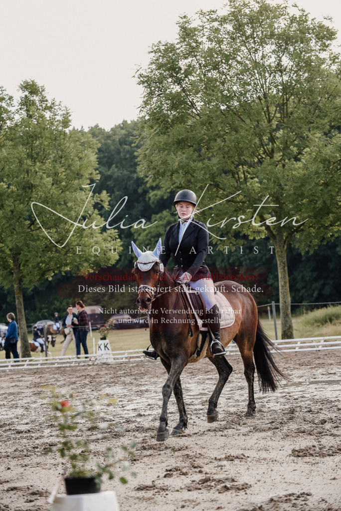 DSC_8171 | Pferde- und Turnierfotografie in Westsachsen. Pferdeportraits, Auftragszeichnungen und intuitive Kunst.