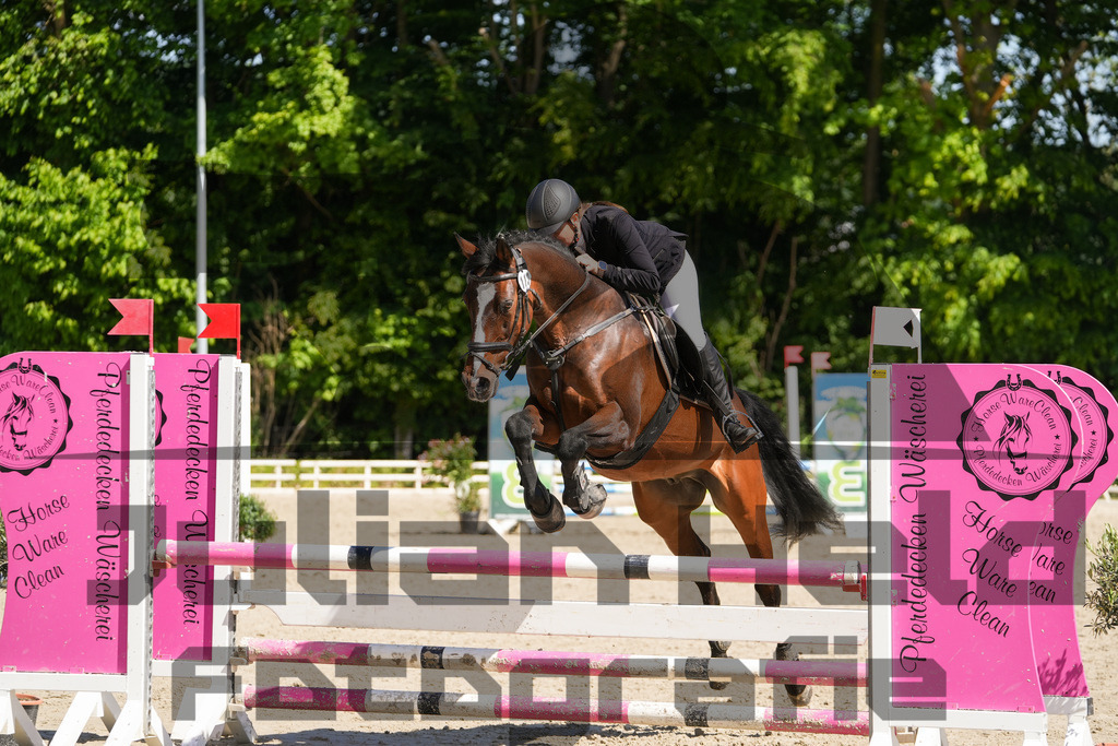 DSC02195 | Julian Held Fotografie - Realisiert mit Pictrs.com