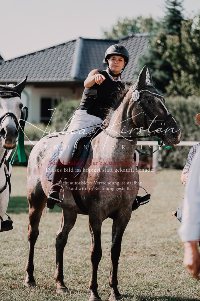 DSC_4933 | Pferde- und Turnierfotografie in Westsachsen. Pferdeportraits, Auftragszeichnungen und intuitive Kunst.