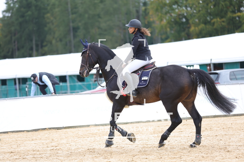 0P6A9397 | Willkommen bei Brunnmayr - Design & Fotografie – Ihrem Spezialisten für Reitturniere und Pferdeveranstaltungen in Oberösterreich, Salzburg und Bayern! Seit über 17 Jahren sind wir leidenschaftlich dabei.