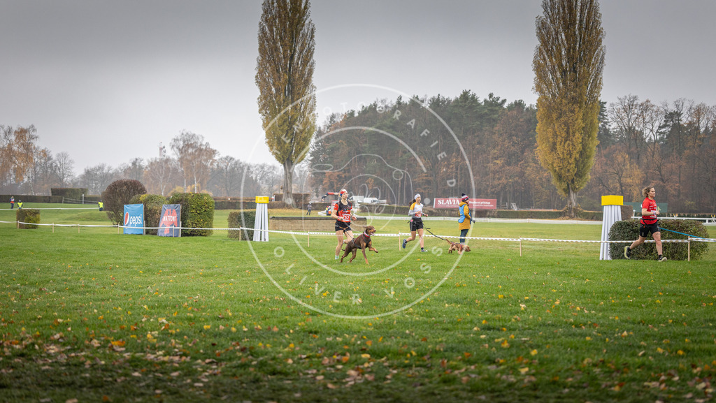 CaniXpix_DV3A8886 | Hundefotografie, Tierfotograf, Pfotenfotografie, Fotoshooting Hund, Hunde Portrait, Hundesport, Hundeportraits, Heideshooting, Hunde, Sportfotograf, Hundefotograf, Turnierhundsport, THS,  - Realisiert mit Pictrs.com