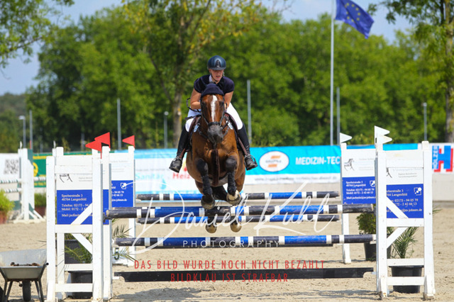 Gut Blee25_Amateuer Stilsprpfg Kl L_0176 | Turniersportfotografie; Pferdefotografie; Dressurfotografie