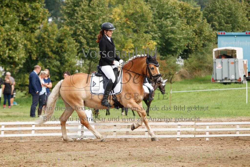 IMG_2424 | P. Berger Fotografie - Realisiert mit Pictrs.com