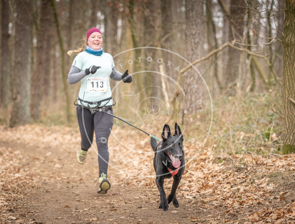 Pfotenfotografie_DV3A7726 | Hundefotografie, Tierfotograf, Pfotenfotografie, Fotoshooting Hund, Hunde Portrait, Hundesport, Hundeportraits, Heideshooting, Hunde, Sportfotograf, Hundefotograf, Turnierhundsport, THS,  - Realisiert mit Pictrs.com