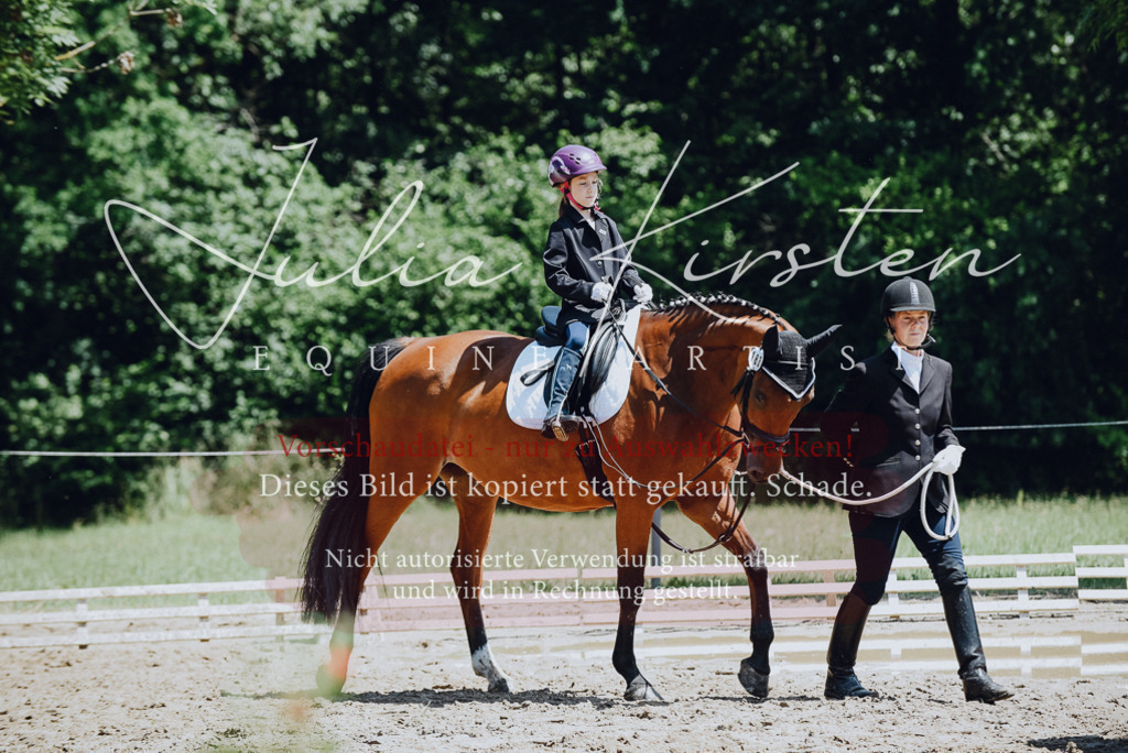 DSC_2132 | Pferde- und Turnierfotografie in Westsachsen. Pferdeportraits, Auftragszeichnungen und intuitive Kunst.