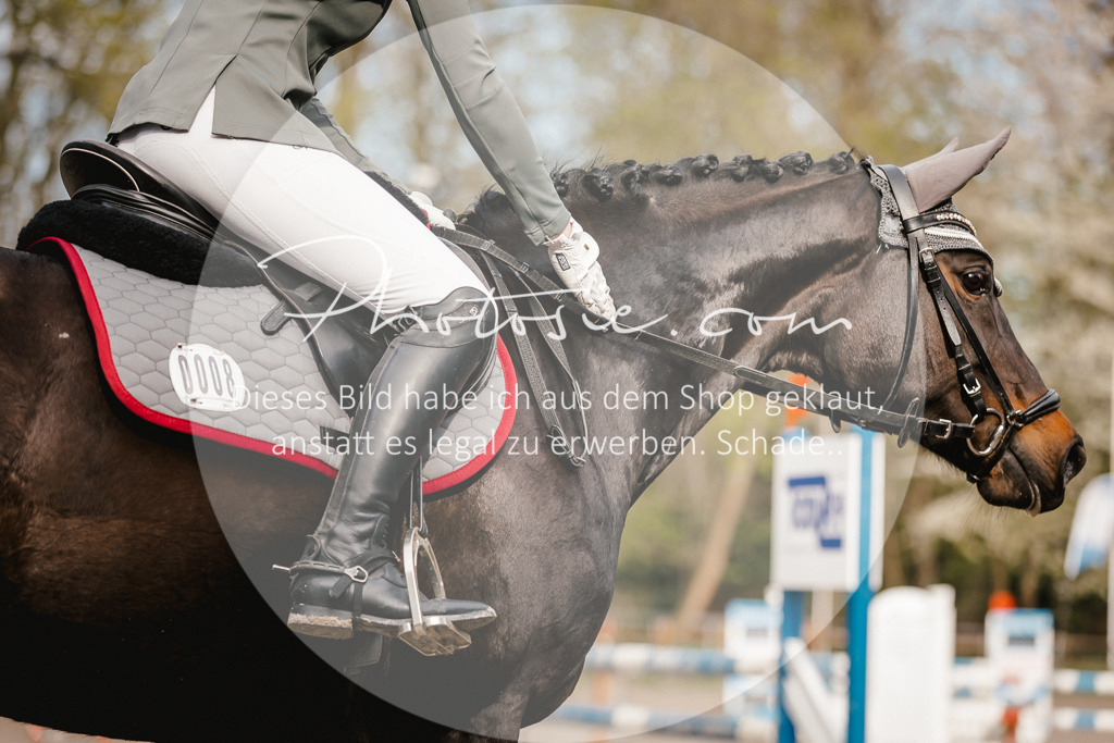 3I6A3338 | Stimmungsvolle Portraits und Reitsportfotografie im Ruhrgebiet und im Münsterland.

Pferdefotografie, Hundefotografie, Tierfotografie, Reportagen, Portraits von Tier und Mensch, Turnierfotografie in Bochum, Recklinghausen, Marl, Haltern am See, Dülmen.. - Realisiert mit Pictrs.com