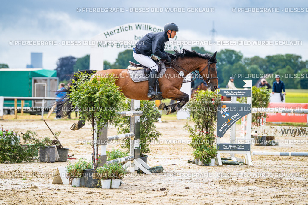 DSC03890 | Pferdegrafie