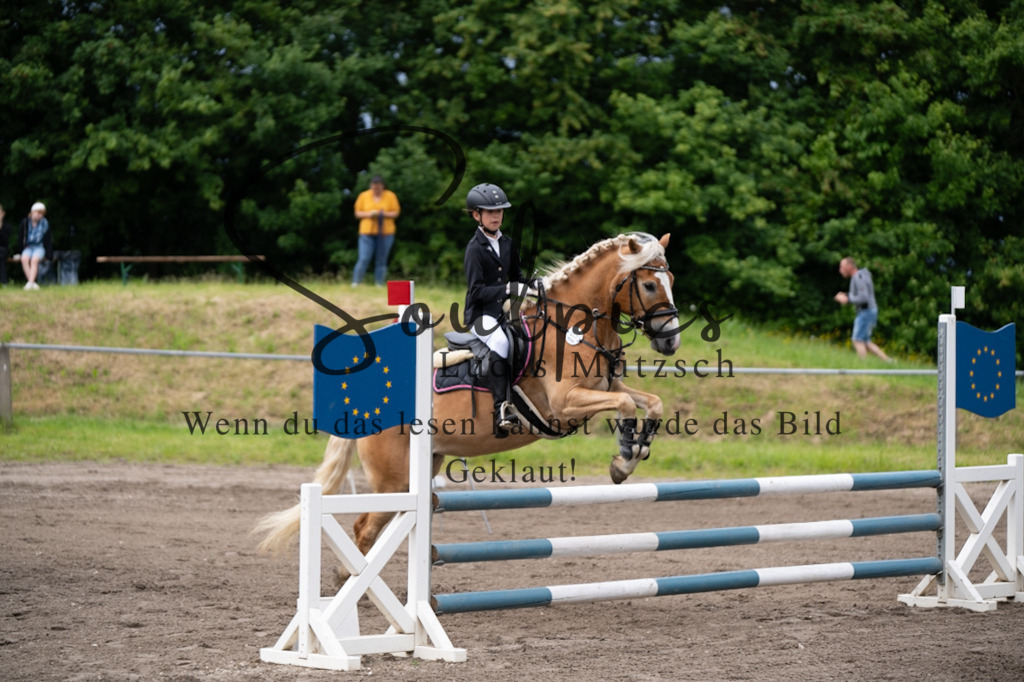 A7V03947 | Pferdefotograf